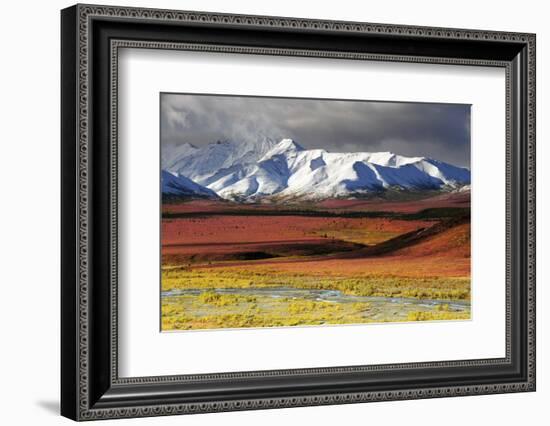 Alaska Range, Autumn, Taiga, Denali National Park, Alaska, USA-Michel Hersen-Framed Photographic Print