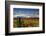 Alaska Range, Autumn, Taiga, Denali National Park, Alaska, USA-Michel Hersen-Framed Photographic Print