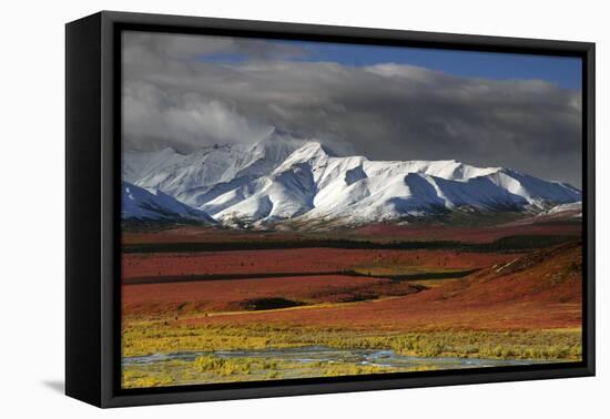 Alaska Range in Autumn, Taiga, Denali National Park, Alaska, USA-Michel Hersen-Framed Premier Image Canvas