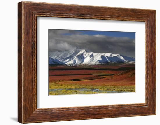 Alaska Range in Autumn, Taiga, Denali National Park, Alaska, USA-Michel Hersen-Framed Photographic Print