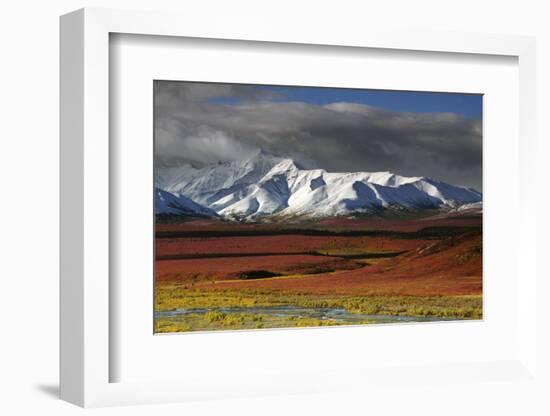 Alaska Range in Autumn, Taiga, Denali National Park, Alaska, USA-Michel Hersen-Framed Photographic Print