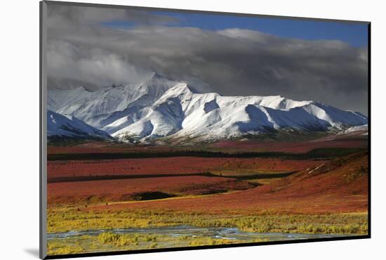 Alaska Range in Autumn, Taiga, Denali National Park, Alaska, USA-Michel Hersen-Mounted Photographic Print