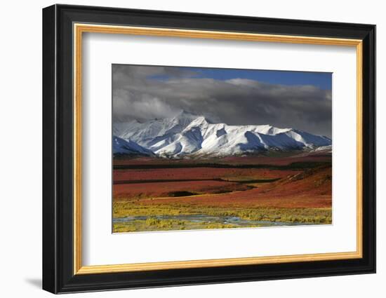 Alaska Range in Autumn, Taiga, Denali National Park, Alaska, USA-Michel Hersen-Framed Photographic Print