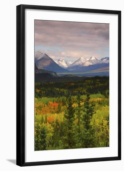 Alaska Range in Autumn, Taiga, Tundra, Denali National Park, Alaska, USA-Michel Hersen-Framed Photographic Print