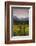 Alaska Range in Autumn, Taiga, Tundra, Denali National Park, Alaska, USA-Michel Hersen-Framed Photographic Print