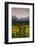 Alaska Range in Autumn, Taiga, Tundra, Denali National Park, Alaska, USA-Michel Hersen-Framed Photographic Print