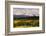 Alaska Range in Autumn, Taiga, Tundra, Denali National Park, Alaska, USA-Michel Hersen-Framed Photographic Print