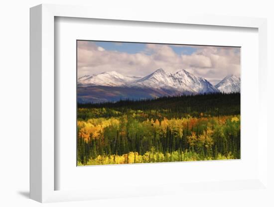 Alaska Range in Autumn, Taiga, Tundra, Denali National Park, Alaska, USA-Michel Hersen-Framed Photographic Print