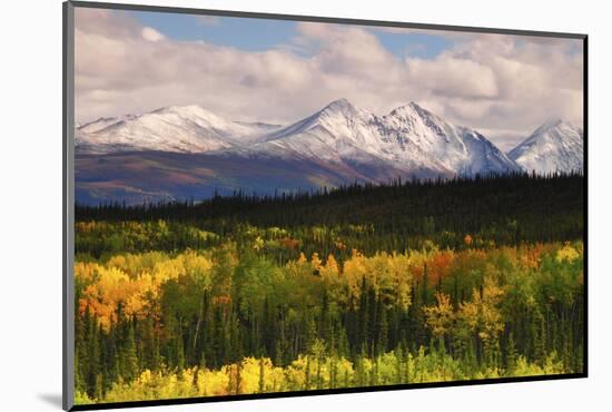 Alaska Range in Autumn, Taiga, Tundra, Denali National Park, Alaska, USA-Michel Hersen-Mounted Photographic Print