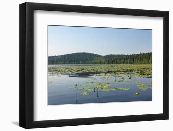 Alaska's Lost Lake-cec72-Framed Photographic Print