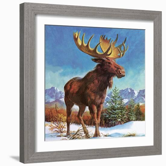 Alaska's Mighty Moose-English School-Framed Giclee Print