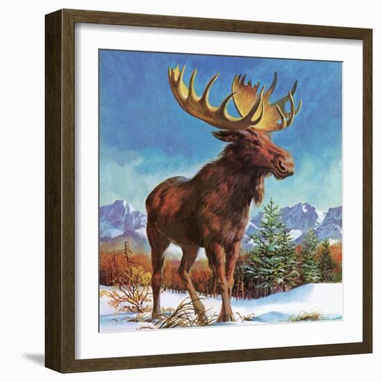 Alaska's Mighty Moose-English School-Framed Giclee Print