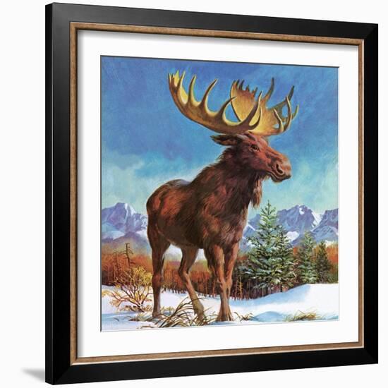 Alaska's Mighty Moose-English School-Framed Giclee Print