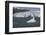 Alaska Scenic-Lynn M^ Stone-Framed Photographic Print