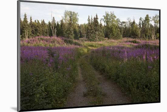 Alaska Scenic-Lynn M^ Stone-Mounted Photographic Print