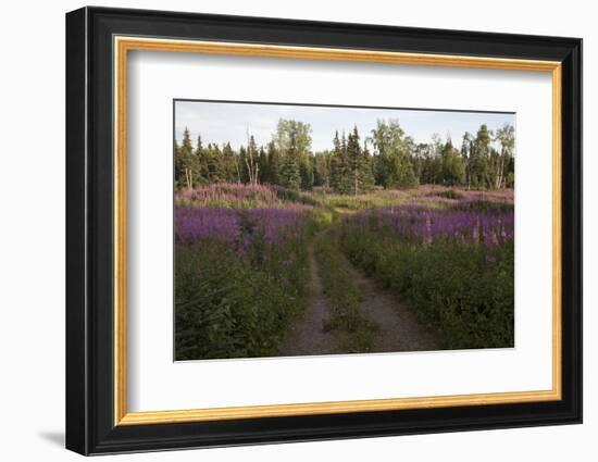 Alaska Scenic-Lynn M^ Stone-Framed Photographic Print