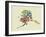 Alaska State Map-Lanre Adefioye-Framed Giclee Print