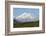 Alaska, Usa, Denali National Park. the 6-William Gray-Framed Photographic Print