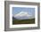Alaska, Usa, Denali National Park. the 6-William Gray-Framed Photographic Print