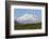 Alaska, Usa, Denali National Park. the 6-William Gray-Framed Photographic Print