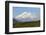 Alaska, Usa, Denali National Park. the 6-William Gray-Framed Photographic Print