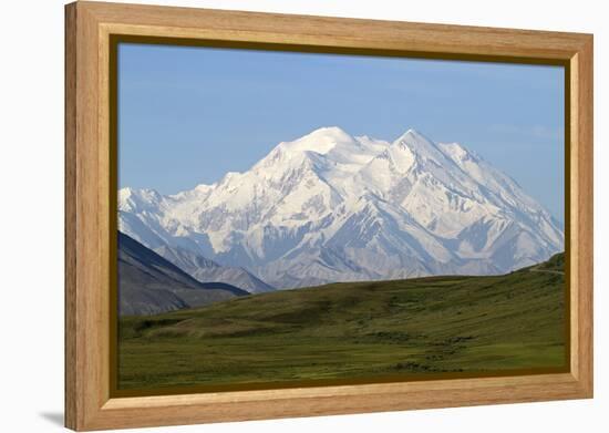 Alaska, Usa, Denali National Park. the 6-William Gray-Framed Premier Image Canvas