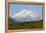 Alaska, Usa, Denali National Park. the 6-William Gray-Framed Premier Image Canvas