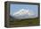 Alaska, Usa, Denali National Park. the 6-William Gray-Framed Premier Image Canvas