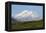 Alaska, Usa, Denali National Park. the 6-William Gray-Framed Premier Image Canvas