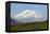 Alaska, Usa, Denali National Park. the 6-William Gray-Framed Premier Image Canvas