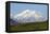 Alaska, Usa, Denali National Park. the 6-William Gray-Framed Premier Image Canvas