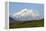 Alaska, Usa, Denali National Park. the 6-William Gray-Framed Premier Image Canvas