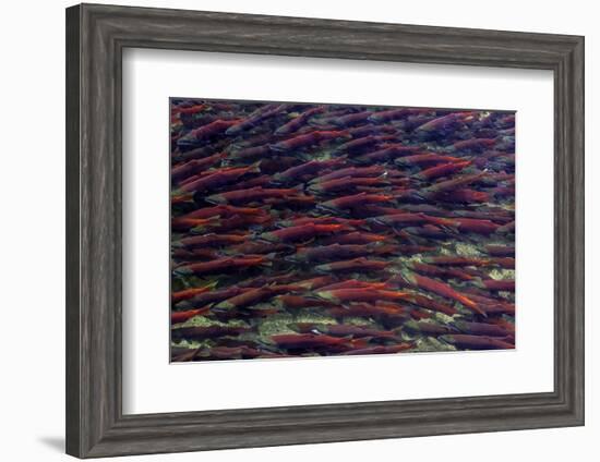 Alaska-Art Wolfe-Framed Photographic Print