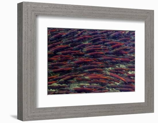 Alaska-Art Wolfe-Framed Photographic Print