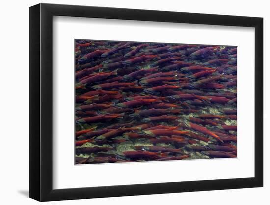 Alaska-Art Wolfe-Framed Photographic Print