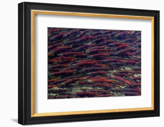 Alaska-Art Wolfe-Framed Photographic Print