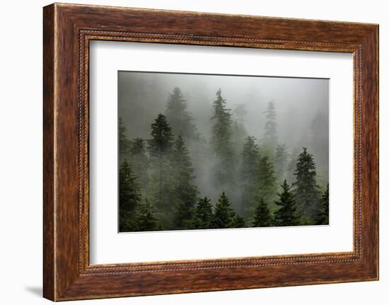 Alaska-Art Wolfe-Framed Photographic Print