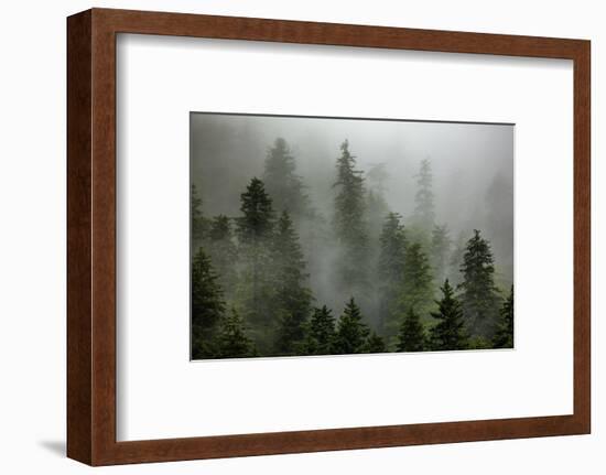 Alaska-Art Wolfe-Framed Photographic Print