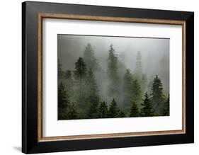 Alaska-Art Wolfe-Framed Photographic Print
