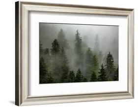 Alaska-Art Wolfe-Framed Photographic Print