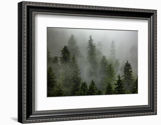 Alaska-Art Wolfe-Framed Photographic Print