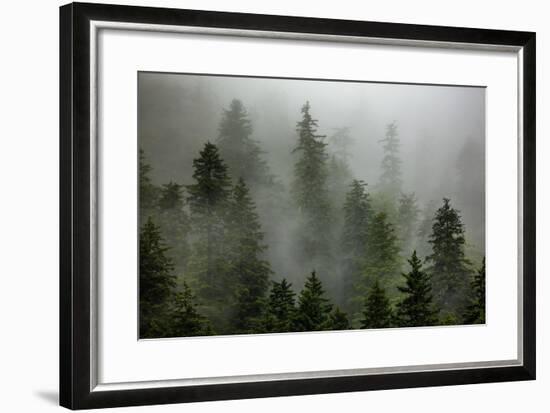 Alaska-Art Wolfe-Framed Premium Photographic Print