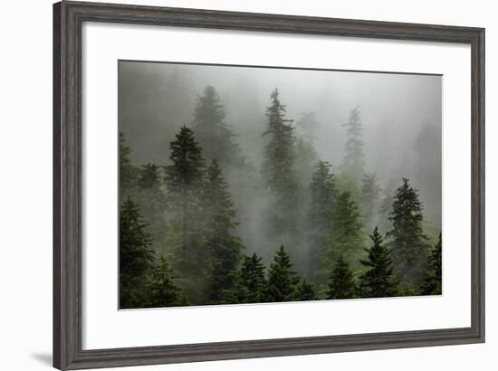 Alaska-Art Wolfe-Framed Premium Photographic Print