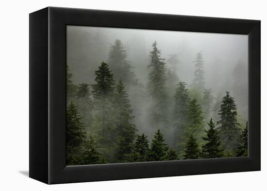 Alaska-Art Wolfe-Framed Premier Image Canvas