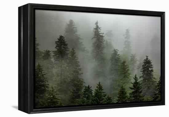 Alaska-Art Wolfe-Framed Premier Image Canvas