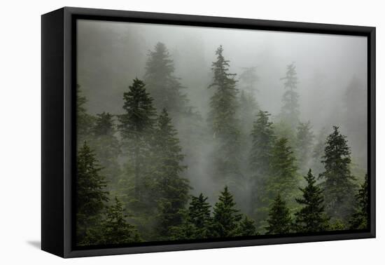 Alaska-Art Wolfe-Framed Premier Image Canvas