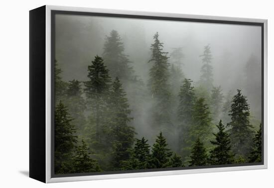 Alaska-Art Wolfe-Framed Premier Image Canvas