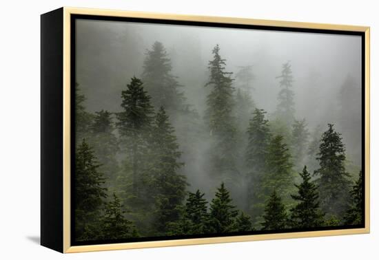 Alaska-Art Wolfe-Framed Premier Image Canvas