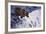 Alaskan Brown Bear, 2002-Joe Heaps Nelson-Framed Giclee Print