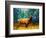 Alaskan Elk-Megan Aroon Duncanson-Framed Art Print